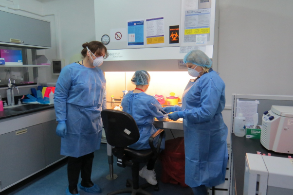 Biosafety Cabinet: Pengertian, Fungsi, Klasifikasi, dan Cara Kerjanya 1 |