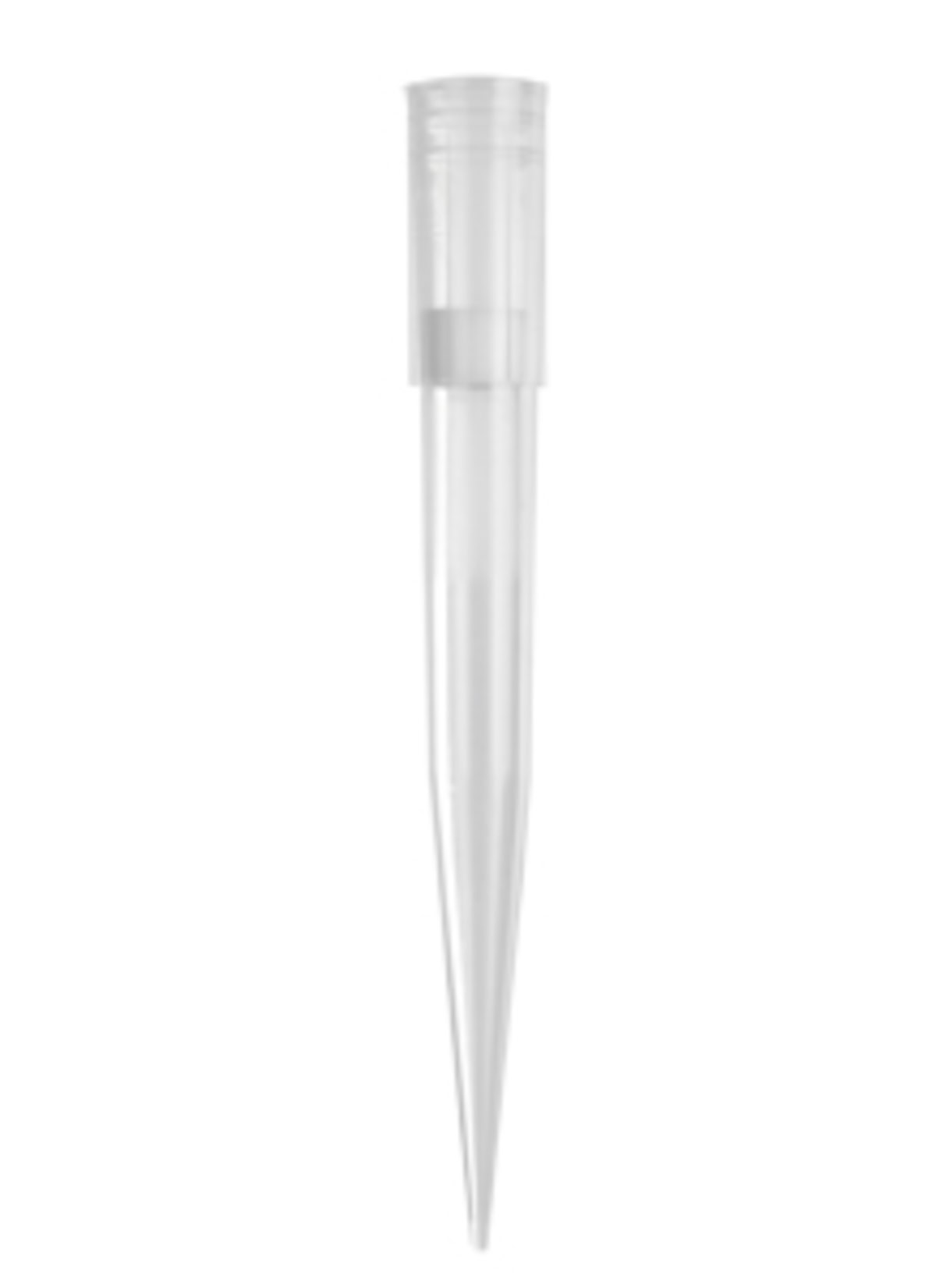 TF-1000-R-S_hckz6y45 |