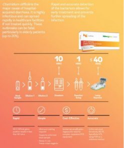 FOKUS HG C Difficile