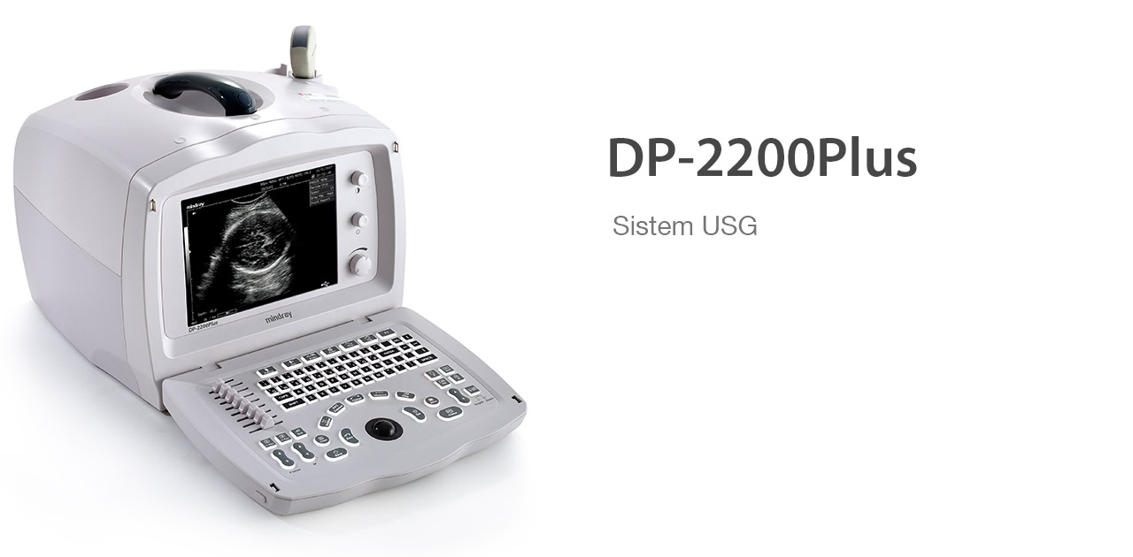 DP-2200Plus |