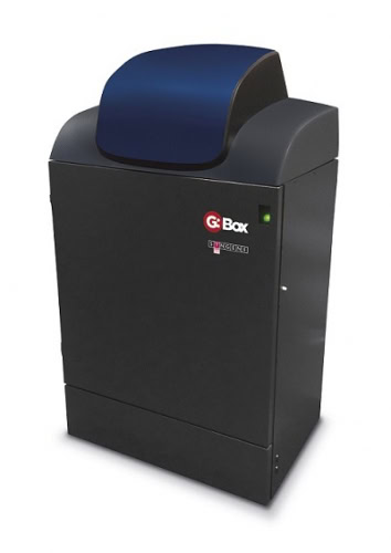 GBOXChemiXX9_1uhr1597134282 |