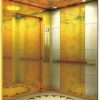 Villa Elevators 1 |