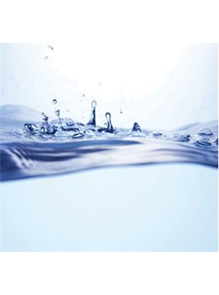 Water-Purification_1_245Wx330H13yc1564315012 |