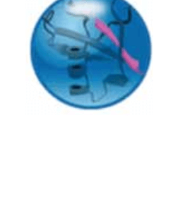 Post-Translational Modification