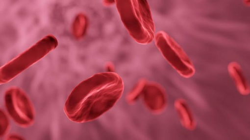 Peran Faktor Pembekuan