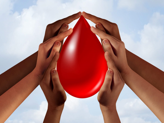 Syarat Donor Darah