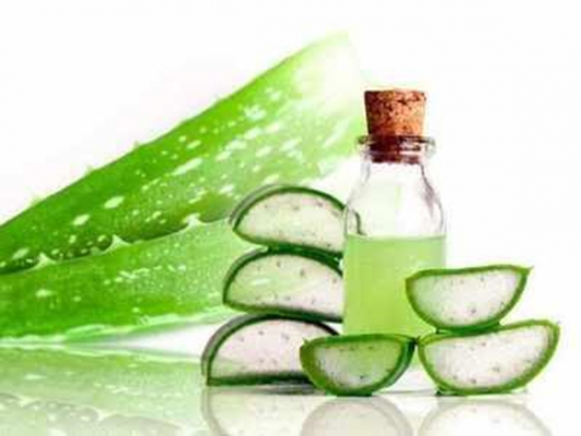 Manfaat Lidah Buaya untuk Rambut