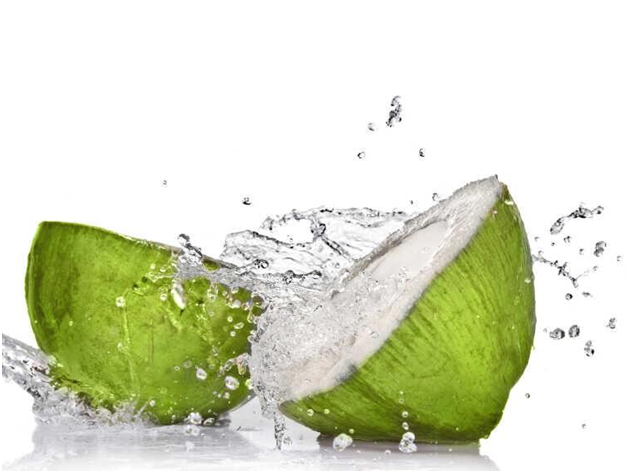 Inilah Manfaat Minum Air Kelapa Segar 1 Manfaat Minum Air Kelapa Segar