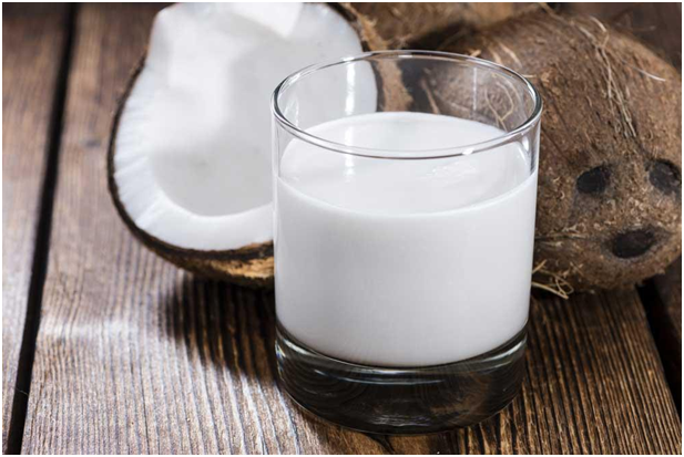 Manfaat Santan Kelapa Bagi Kesehatan Tubuh 1 Manfaat Santan Kelapa