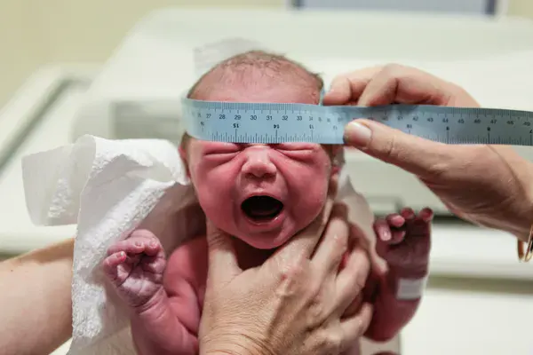 pertumbuhan otak bayi