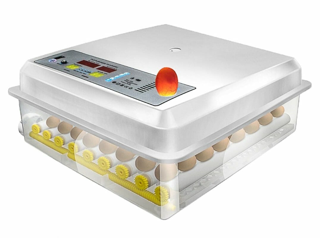 TIPS MEMERIKSA DAN MENGATASI MASALAH EGG INCUBATOR