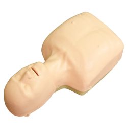 GENERAL DOCTOR Manikin GD/CPR166 Simulasi Resusitasi Jantung Paru Sederhana