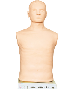 GENERAL DOCTOR MANIKIN GD/J18 Adult Acupressure Hemostasis Model