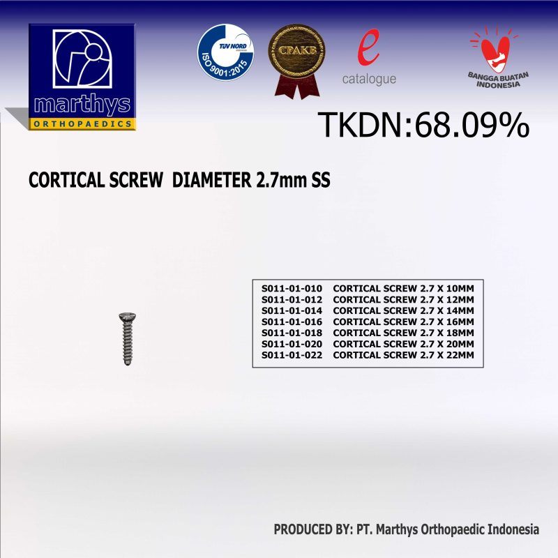 ENT 45258 Mèche à Mortaiser Hélicoïdale Droite 22mm - Outil Bois HSS Qualité Professionnelle