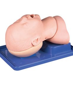 GENERAL DOCTOR MANIKIN GD/J10 Model Manajemen Saluran Nafas Bayi