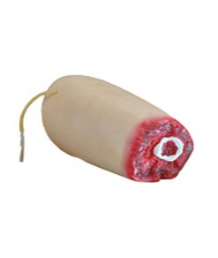GENERAL DOCTOR MANIKIN GD/J108-2 Modul Amputasi Perdarahan Paha