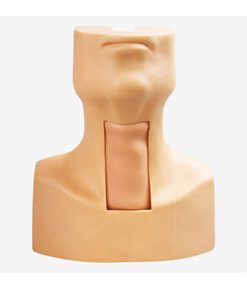 GENERAL DOCTOR MANIKIN Simulator Trakeostomi GD/J58