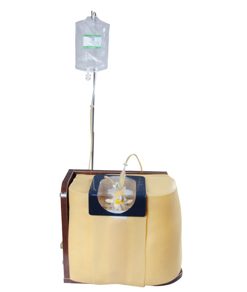 GENERAL DOCTOR Simulator Tusukan Lumbar GD/L68A