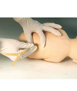 GENERAL DOCTOR Simulator Tusukan Lumbar Bayi GD/L68B