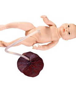 GENERAL DOCTOR Model Perawatan Tali Pusar Bayi Baru Lahir GD/H132