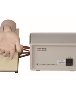 GENERAL DOCTOR Tangan Tusukan Arteri Elektronik GD/HS4G