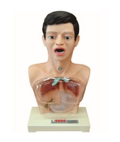 GENERAL DOCTOR GD/H7-1 Simulator Lavage Lambung Tansparent dengan Peringatan