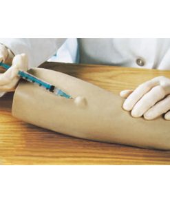 GENERAL DOCTOR Lengan Injeksi Intradermal GD/HS12