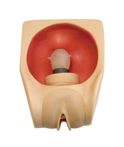 GENERAL DOCTOR Simulator Praktek Kontrasepsi Wanita Tingkat Lanjut GD/F9B