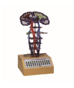 GENERAL DOCTOR GD/A18217 Model Listrik Konduksi Saraf Pusat