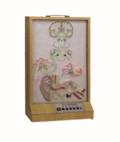 GENERAL DOCTOR GD/A18218 Model Listrik Konduksi Indra Pendengaran