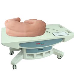 GENERAL DOCTOR GD/L260C Simulasi Tusukan Lumbal Manusia dengan kecerdasan tinggi