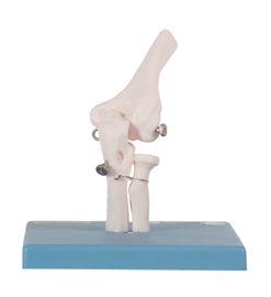 GENERAL DOCTOR Model Sambungan Siku GD/A11201/2