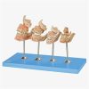 |