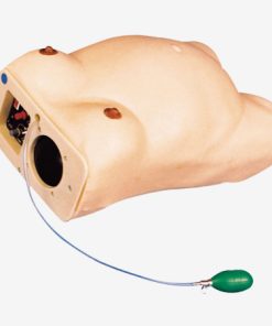 GENERAL DOCTOR Simulator Pemeriksaan Maternitas GD/FW2