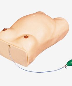 GENERAL DOCTOR Simulator Pemeriksaan Maternitas GD/FW1