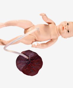 GENERAL DOCTOR Model Perawatan Tali Pusar Bayi Baru Lahir GD/H132