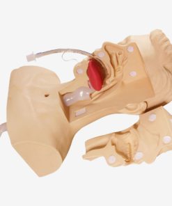 GENERAL DOCTOR Simulator Pelatihan Hisap Tingkat Lanjut GD/H85