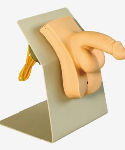 GENERAL DOCTOR Simulator Pelatihan Kateterisasi GD/H28E (Pria)