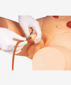 GENERAL DOCTOR Simulator Pelatihan Kateterisasi GD/H17E (Pria)