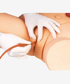 GENERAL DOCTOR Simulator Pelatihan Kateterisasi GD/H17F (Wanita)
