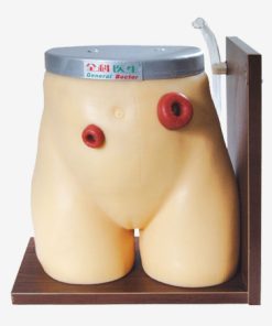 GENERAL DOCTOR Simulator Perawatan Ostomi GD/H38