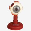Model Bola Mata GD/A17102 - Anatomi 28 Posisi Lengkap 2 |