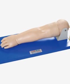 GENERAL DOCTOR Lengan Venipunktur Pediatrik GD/HS32