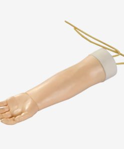 GENERAL DOCTOR Simulator Lengan Venipunktur Anak Kecil GD/HS33