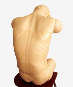 GENERAL DOCTOR GD/L260B Simulator Pelatihan Keterampilan Tusukan Komprehensif Tingkat Lanjut (Posisi Duduk Anteverted)