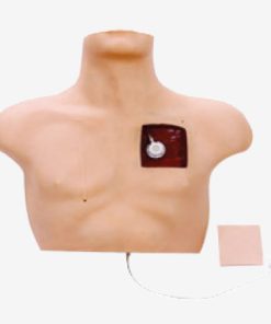 GENERAL DOCTOR Simulator Intervensi Vena GD/L61