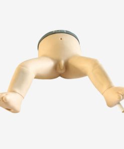 GENERAL DOCTOR Sumsum Tulang Bayi GD/L65B