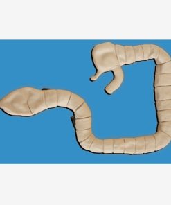 GENERAL DOCTOR Simulator Pemeriksaan Sigmoskop GD/LV30