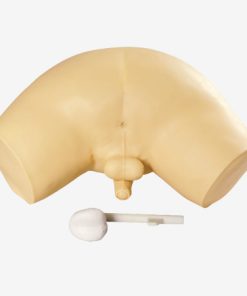 GENERAL DOCTOR Simulator Pemeriksaan Prostat GD/L63