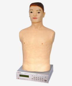 GENERAL DOCTOR Manikin Auskultasi GD/Z990